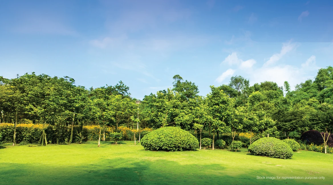 Godrej Verdania Estate Indore Landscaped Boulevard